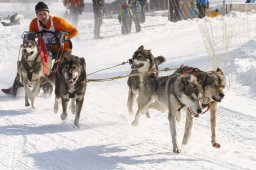 Lenk 2012 SM